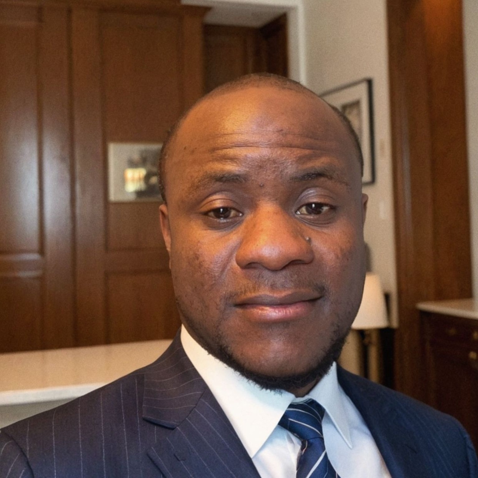 Official executive portrait of ALAIN KADULI